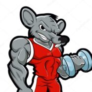 Zdjęcie profilowe admin